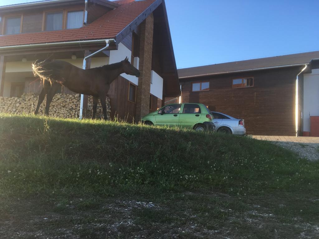 Kavalliera Pensiune Kotormány Kültér fotó